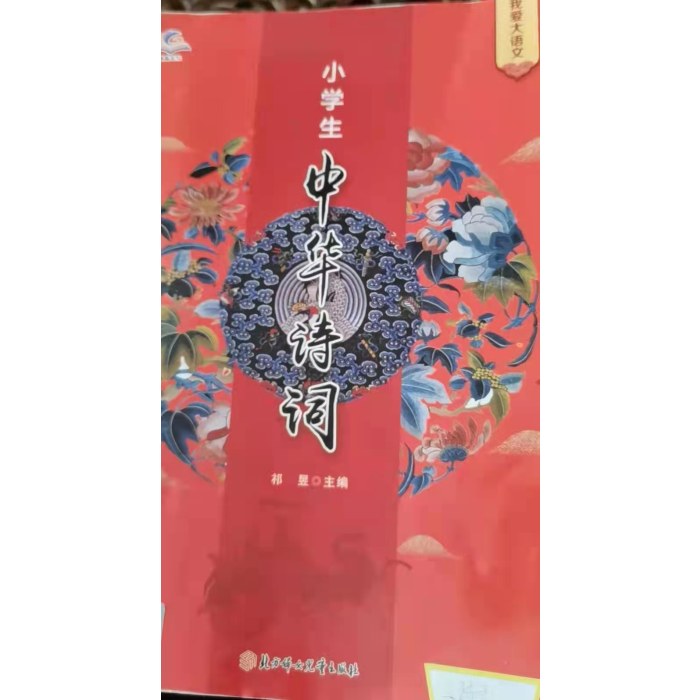 小学生中华诗词