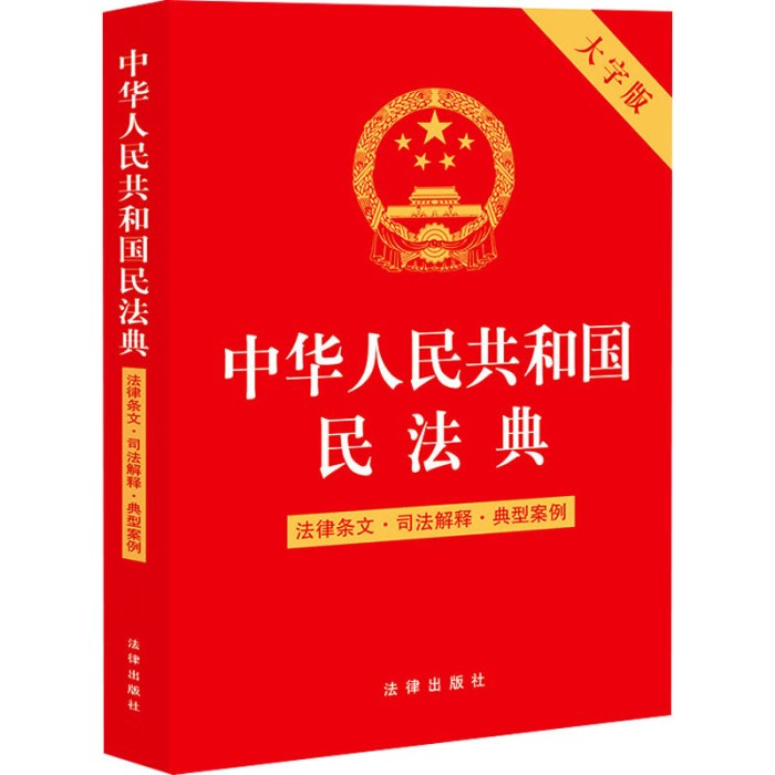 中华人民共和国民法典 法律条文·司法解释·典型案例 大字版