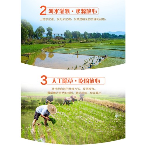 2023年新米七星秋实东北稻花香米一级农家自产现磨新大米5kg 10kg