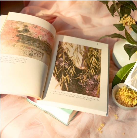 听风八百遍，才知是人间