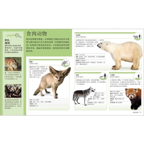 DK儿童迷你百科全书(全12册)