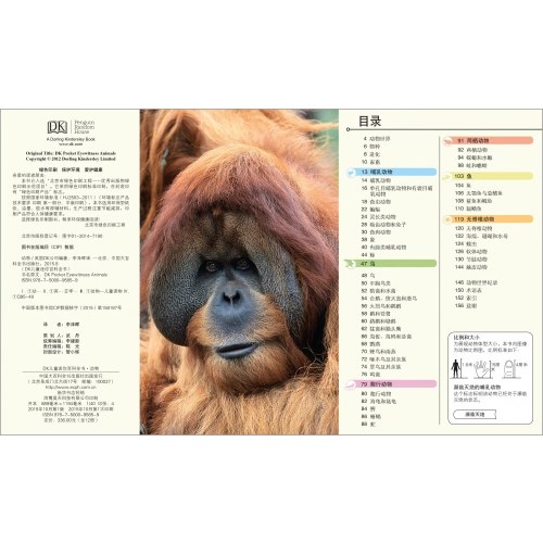 DK儿童迷你百科全书(全12册)