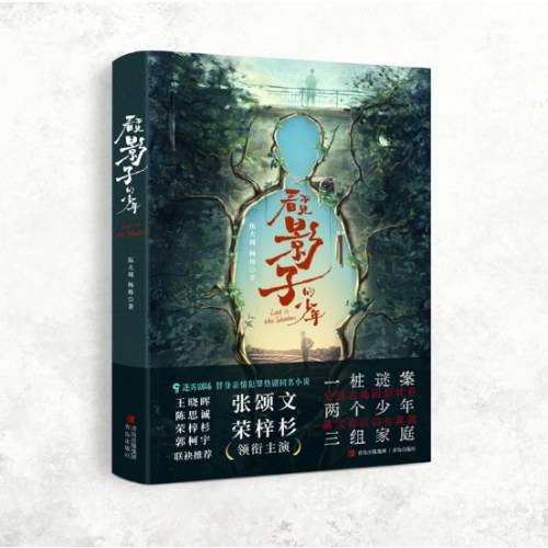 看不见影子的少年