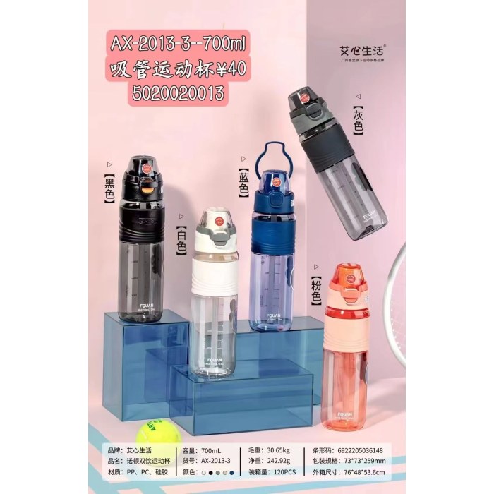 AX-2013-3诺顿双饮运动杯700ML(白色)