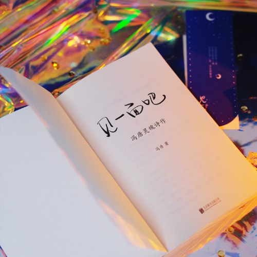 见一面吧：冯唐灵魂诗作