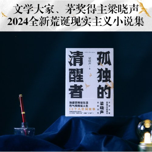 孤独的清醒者（梁晓声）