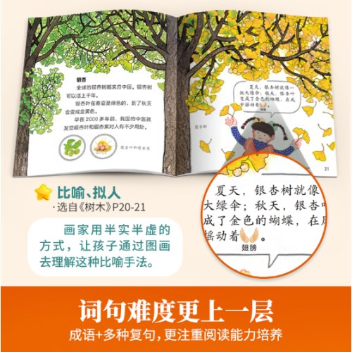 小羊上山儿童汉语分级读物第6级 （10册套装） 3-6岁