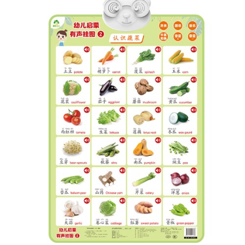 幼儿启蒙有声挂图认识蔬菜