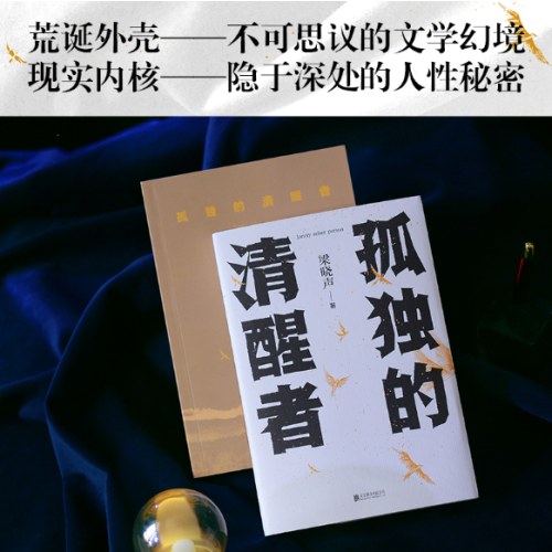 孤独的清醒者（梁晓声）