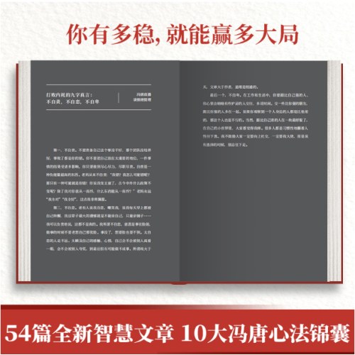 稳赢（冯唐半生成事哲学力作！稳住自己就赢了)