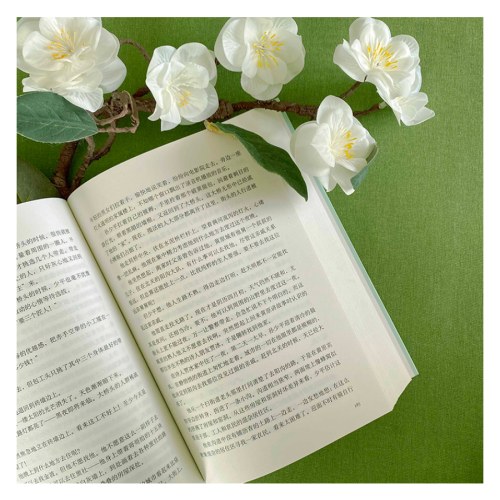 平凡的世界普及本