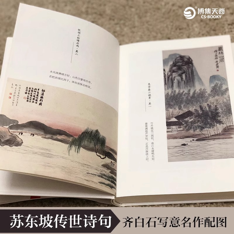 苏东坡传（精）