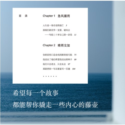 等一切风平浪静（刘同2024年全新书散文随笔集）