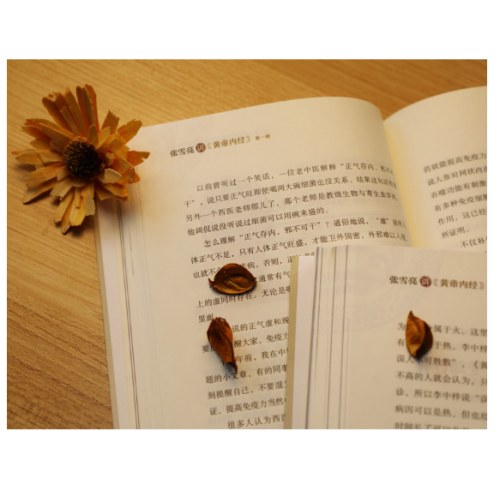 张雪亮讲《黄帝内经》（全两辑）