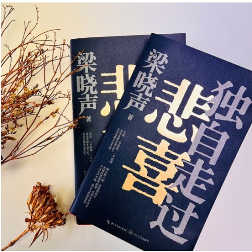 梁晓声新作《独自走过悲喜》