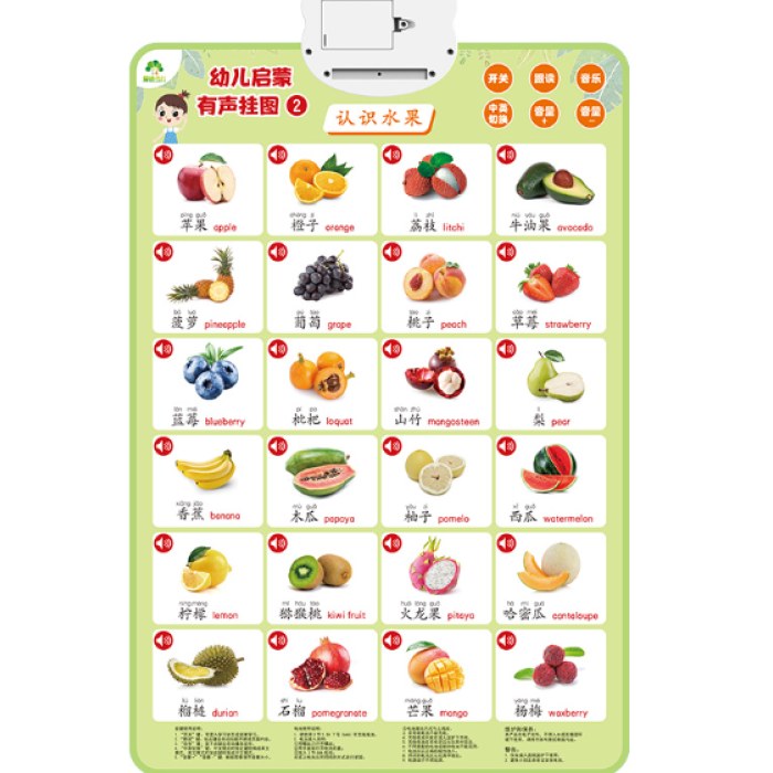 幼儿启蒙有声挂图认识蔬菜