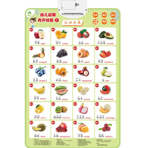 幼儿启蒙有声挂图认识蔬菜