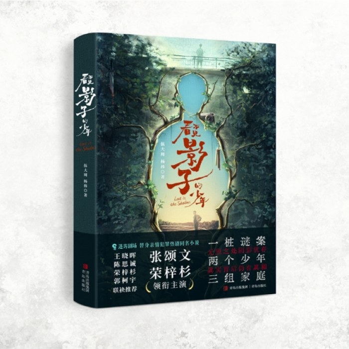 看不见影子的少年