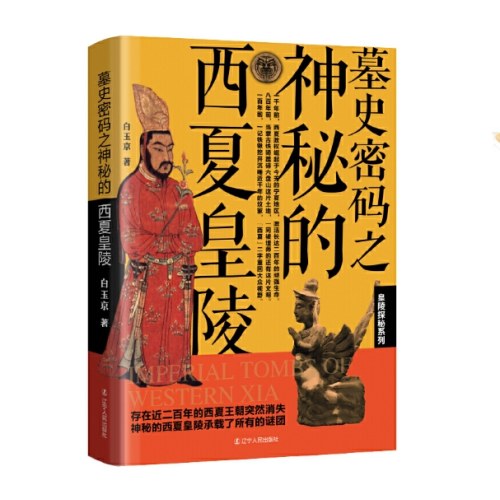 墓史密码之神秘的西夏皇陵