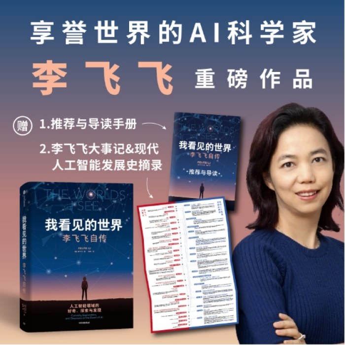 我看见的世界：李飞飞自传