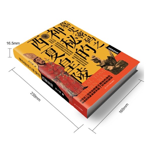 墓史密码之神秘的西夏皇陵