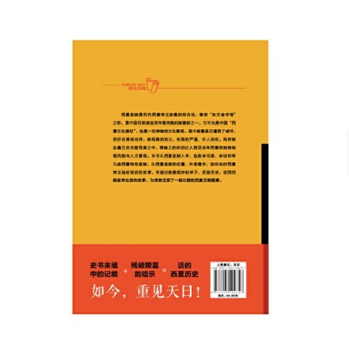 墓史密码之神秘的西夏皇陵