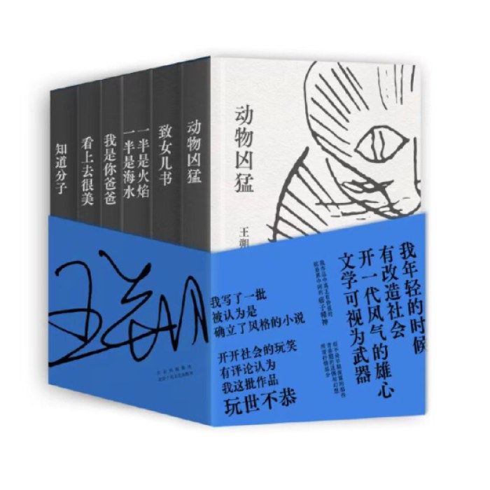 王朔经典作品集    王小波刘震云窦文涛冯小刚都爱读的王朔！独家授权，精装珍藏