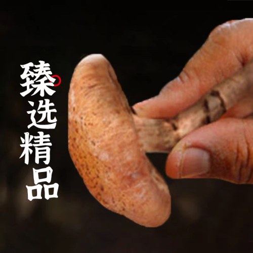 北大荒榛蘑200G盒装