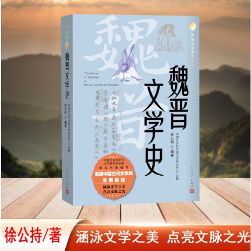 魏晋文学史（中国文学通史系列）