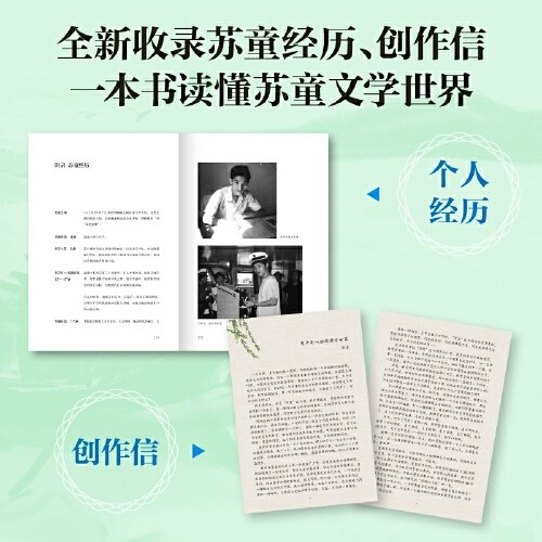 河岸（茅盾文学奖得主苏童长篇代表作）