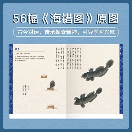 海错图笔记青少版2
