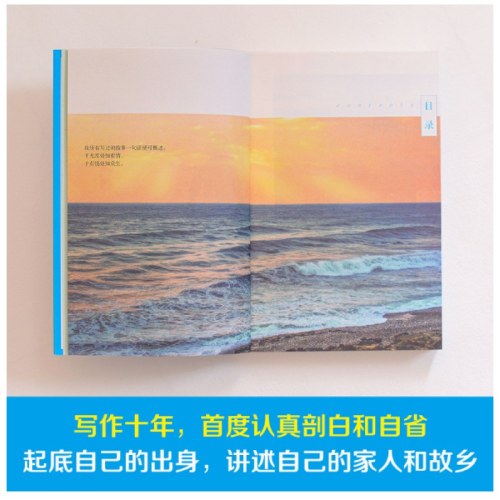 保重（大冰小蓝书系列收官之作！就此别过，诸君保重。）