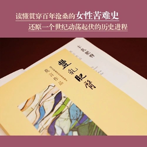 丰乳肥臀（莫言用情极深的长篇代表作，女性苦难史）