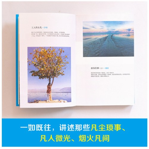 保重（大冰小蓝书系列收官之作！就此别过，诸君保重。）