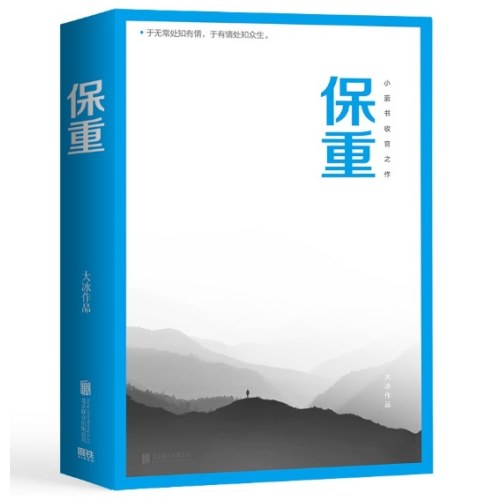 保重（大冰小蓝书系列收官之作！就此别过，诸君保重。）