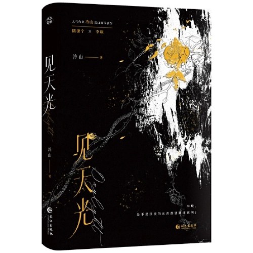 见天光（网络原名：暗河长明）