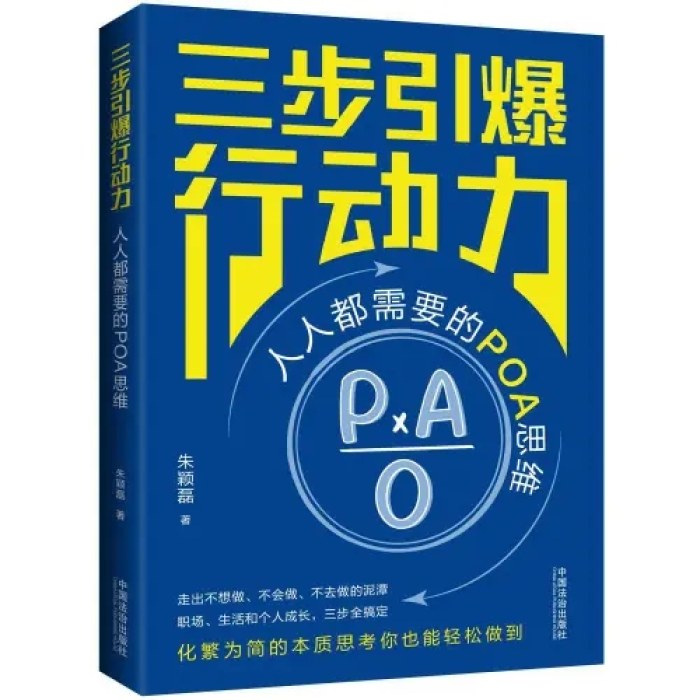 三步引爆行动力：人人都需要的POA思维