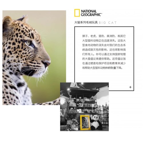 国家地理考拉手偶10寸