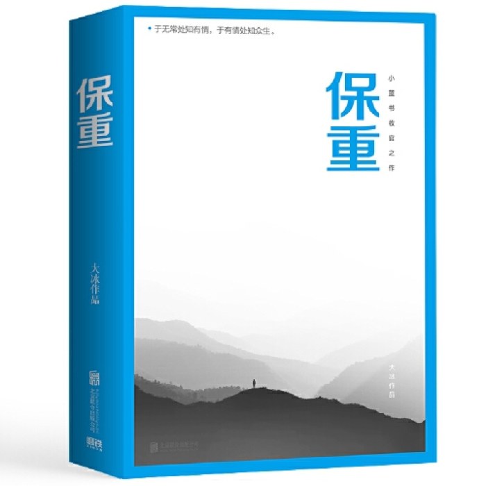保重（大冰小蓝书系列收官之作！就此别过，请君保重。）