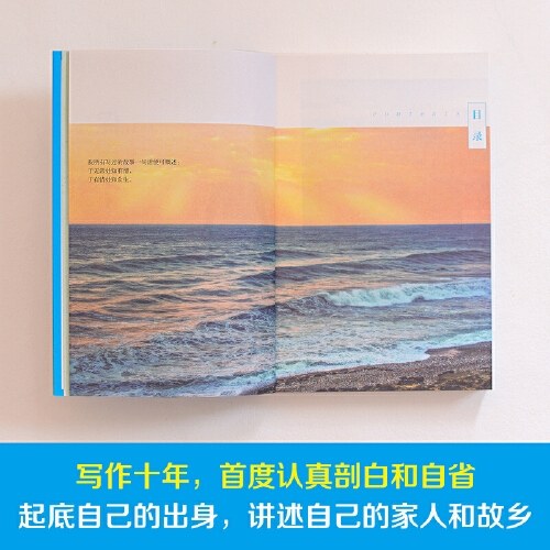 保重（大冰小蓝书系列收官之作！就此别过，请君保重。）