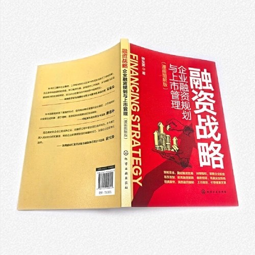 融资战略：企业融资规划与上市管理（漫画图解版）