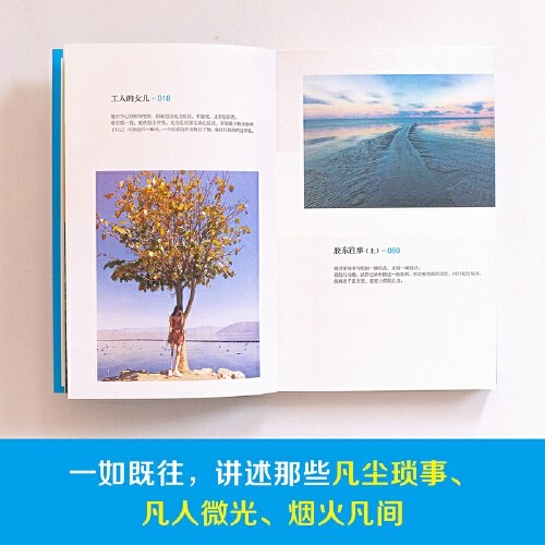 保重（大冰小蓝书系列收官之作！就此别过，请君保重。）