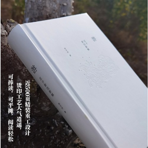 游：庄子新注新解