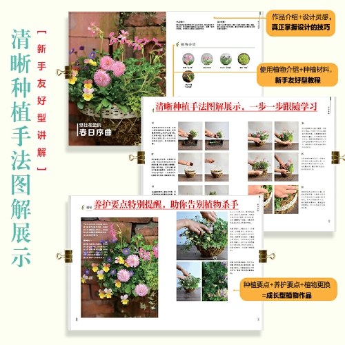 微花园 组合盆栽种植实操指南