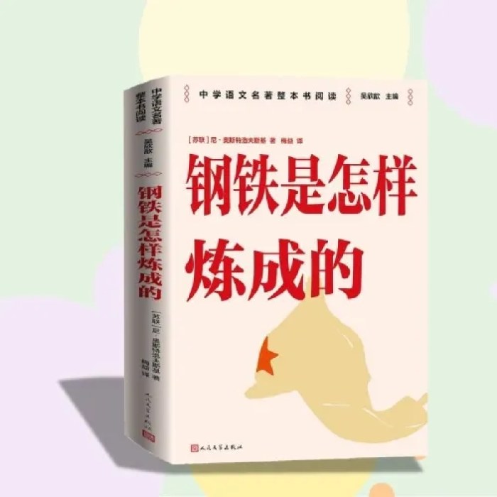 钢铁是怎样炼成的 整本书阅读语文教材七年级下册推荐书目 中学语文名著整本书阅读丛书 全本无删减 名师教学手帐 双色印刷装帧 人民文学出版社