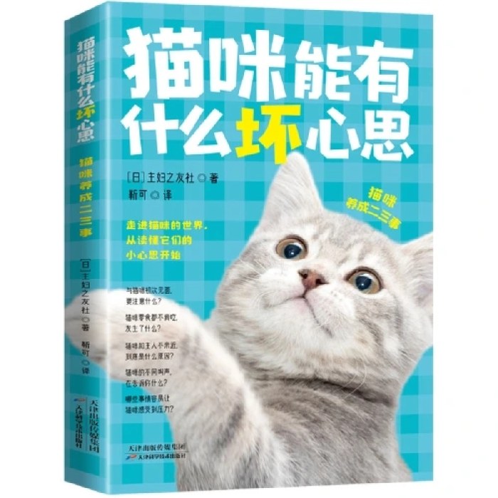 猫咪能有什么坏心思：猫咪养成二三事