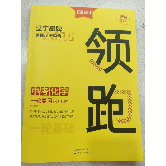 2025领跑中考化学一轮复习（教材梳理）