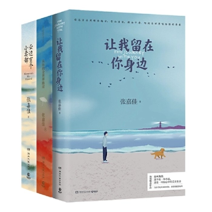 张嘉佳作品集（让我留在你身边+云边有个小卖部+从你的全世界路过）