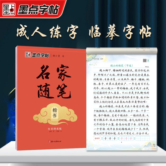 墨点字帖 执笔写经典 名家随笔楷书 成人楷书硬笔书法练字本初学者学生钢笔临摹楷书字帖