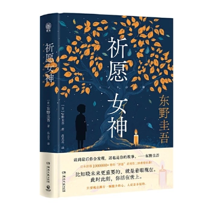祈愿女神（东野圭吾重磅新书）